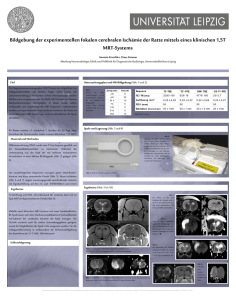 Kein Folientitel - Neuro-Kopf