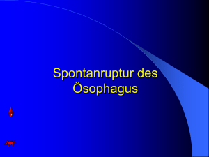 Spontanruptur des Ösophagus