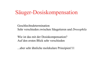 Dosis- Kompensation Säuger - Uni