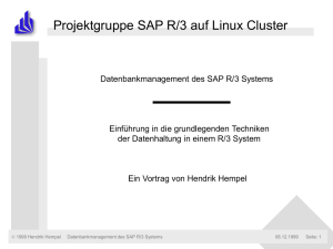 Das Datenbankmanagement des SAP R/3 Systems