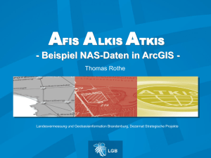 Beispiel NAS-Daten in ArcGIS
