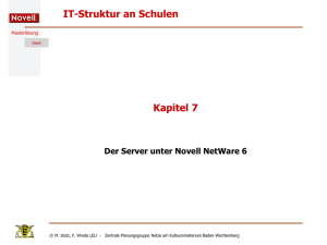Der Server unter NetWare 6