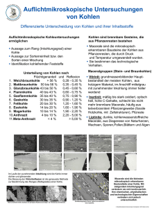 Poster Auflichtmikroskopie von Kohlen