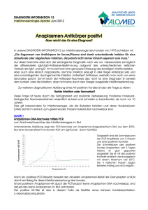 Anaplasmen-Antikörper positiv!