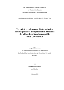 Vergleich verschiedener Holterkriterien zur Diagnose des