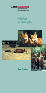 Der Fuchs - NABU Berlin