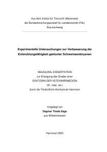 Experimentelle Untersuchungen zur Verbesserung der