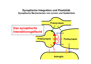 PDF-Datei: 474 KB - Neurobiologie, FU Berlin