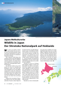 Wildlife in Japan der shiretoko nationalpark auf hokkaido