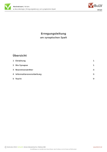 Erregungsleitung &Uuml;bersicht