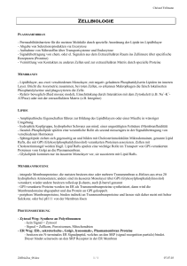 Zellbiologie - dynamic-bio