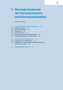 3 Normale Anatomie der Koronararterien und