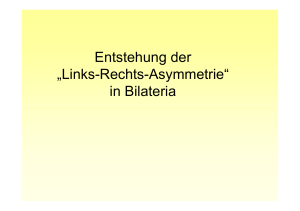 Entstehung der &bdquo;Links-Rechts