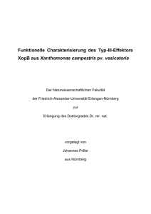 Dissertation_JohannesPriller_BIB_8MB