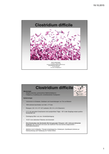 Clostridium difficile Clostridium difficile