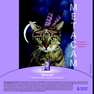 Metacam - Katze und Du.at