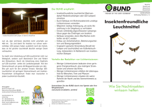 Insektenfreundliche Leuchtmittel - BUND Schleswig