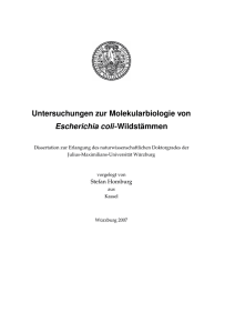 Untersuchungen zur Molekularbiologie von Escherichia