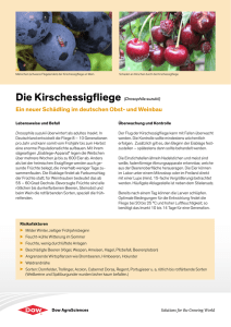 Die Kirschessigfliege - The DOW Chemical Company