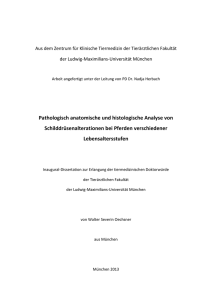 Pathologisch anatomische und histologische Analyse von