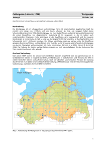 Steckbriefe der in MV vorkommenden Arten nach