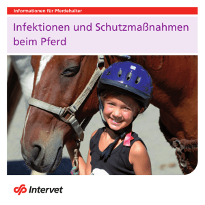 Infektionen und Schutzmaßnahmen beim Pferd