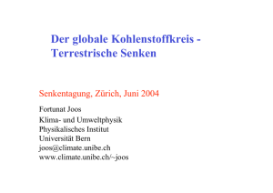 Der globale Kohlenstoffkreis