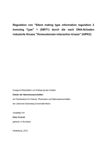 Regulation von "Silent mating type information regulation 2 homolog