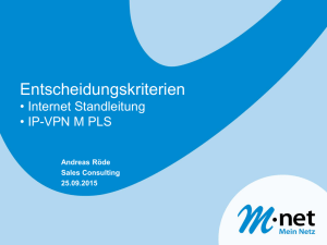 Entscheidungskriterien - Internet Standleitung - IP-VPN M