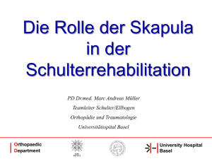 pdf Skapula in Schulterrehabilitation 4