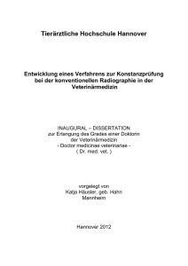 Entwicklung eines Verfahrens zur Konstanzprüfung bei der