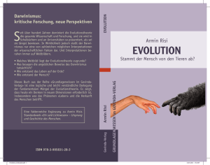 evolution - Armin Risi
