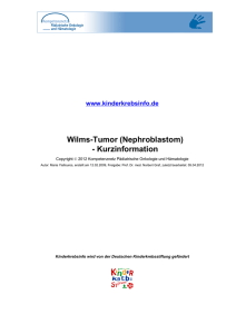 Wilms-Tumor (Nephroblastom) - Kurzinformation