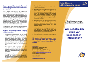 Flyer Salmonellen-Infektionen - im Landkreis Altenburger Land