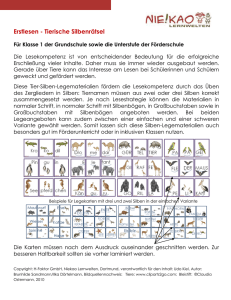 Detailbeschreibung im PDF-Format