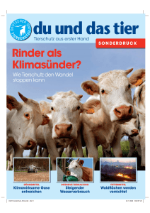 Rinder als Klimasünder? - Deutscher Tierschutzbund