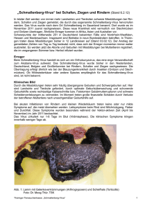 „Schmallenberg-Virus“ bei Schafen, Ziegen und Rindern