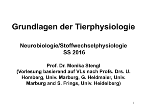 Grundlagen der Tierphysiologie