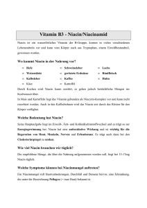 Vitamin B3 - Niacin/Niacinamid