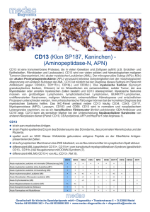 CD13 - medac-diagnostika