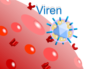 RNA Viren