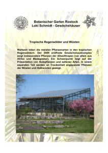 Loki Schmidt - Gewächshäuser - Botanischer Garten
