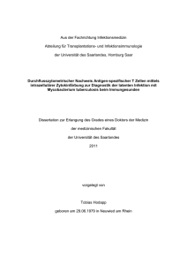 Dissertation Tobias Hodapp