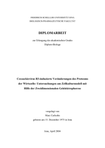 DIPLOMARBEIT