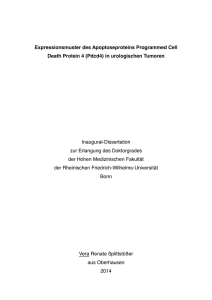 pdf-Dokument - Universität Bonn