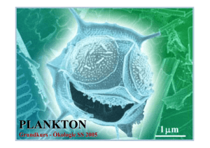 Manuskript zu Plankton