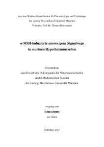 alpha-MSH-induzierte anorexigene Signalwege in murinen