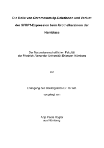 Die Rolle von Chromosom 8p-Deletionen und Verlust der SFRP1