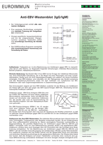 Anti-EBV-Westernblot - EUROIMMUN Schweiz AG