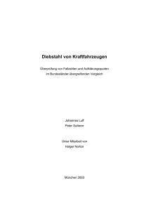 Diebstahl von Kraftfahrzeugen. Überprüfung von